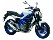 2011 Suzuki Gladius photo